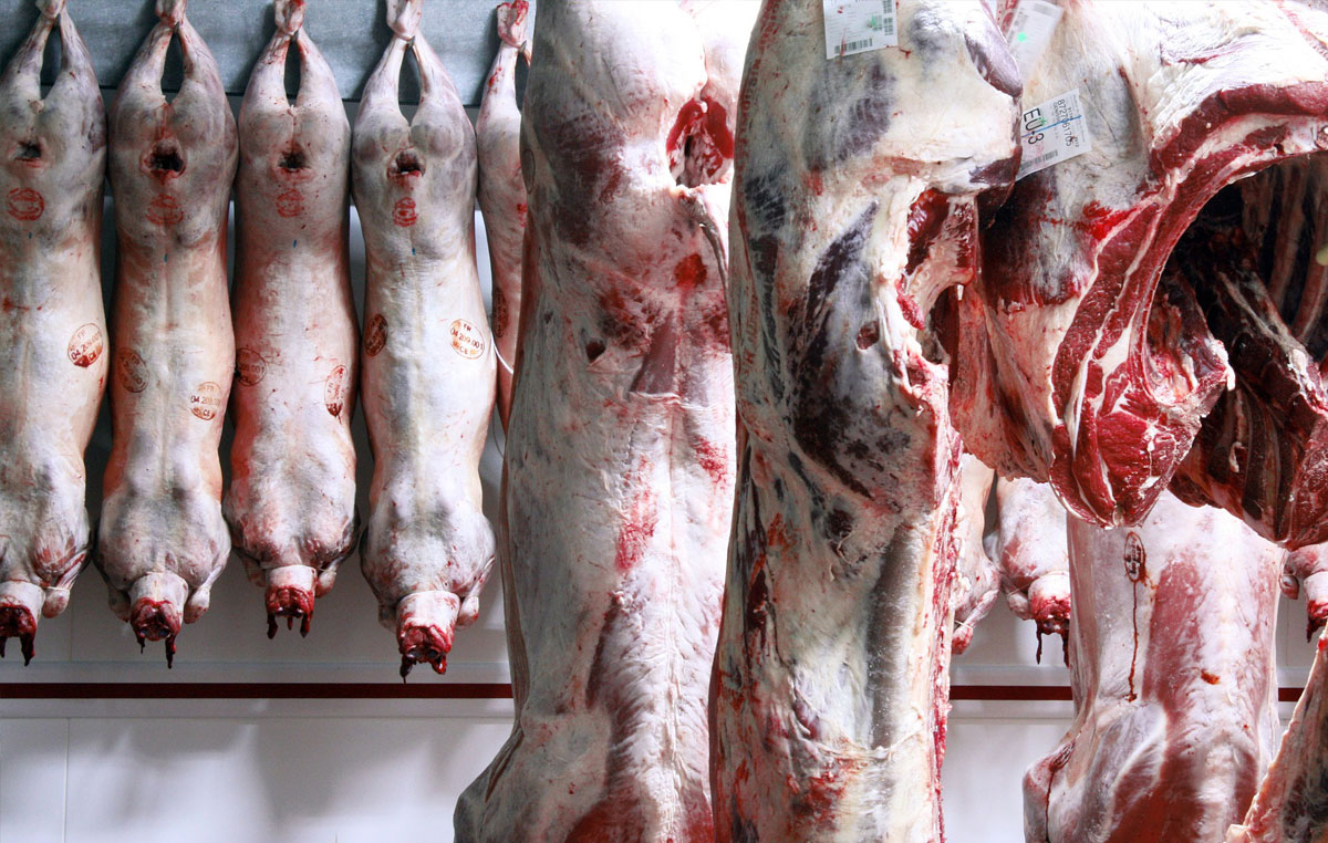 Fleisch im Kühlhaus und A.T.P.-Zertifikat für Kühlhaus- und Kühltransport