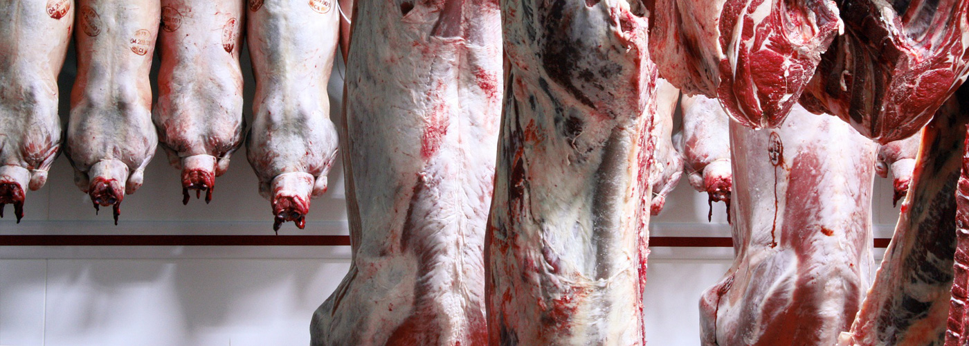 Fleisch im Kühlhaus und A.T.P.-Zertifikat für Kühlhaus- und Kühltransport